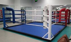 זירת אגרוף למכון גובה ריצפה