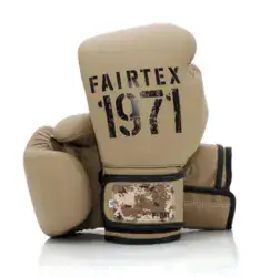 כפפות אגרוף FAIRTEX BGV25 F-DAY 