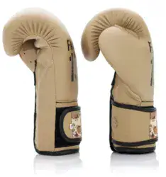 כפפות אגרוף FAIRTEX BGV25 F-DAY 