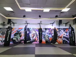 מגן קיר בהזמנה אישית