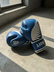 כפפות אגרוף LION כחול מעור מלא