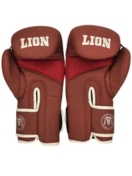 כפפות אגרוף PRO LION אדמה