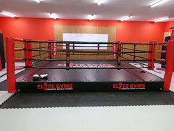 זירת אגרוף ייצור ישראלי שלנו