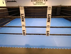 ספייסרים לזירת אגרוף