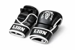 MMA LION